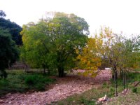 Zona del embalse de Ajuez