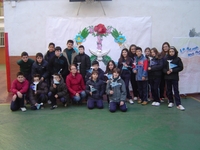 6 primaria